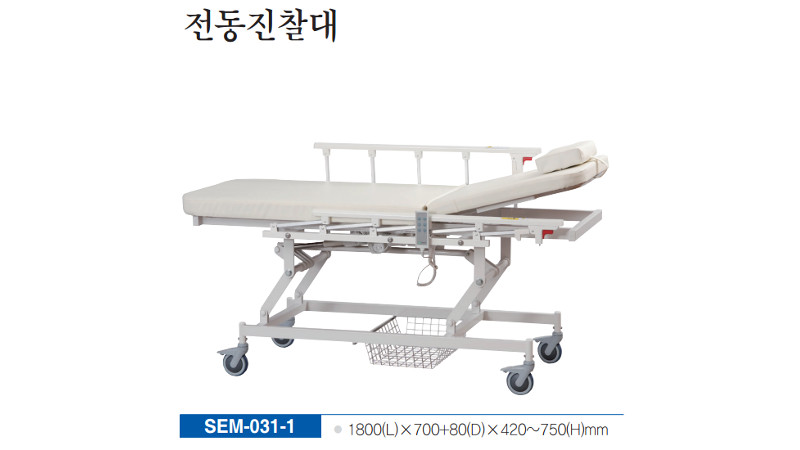 SEM-031-1(04).JPG